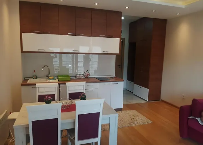 Falcon * 즐라티보