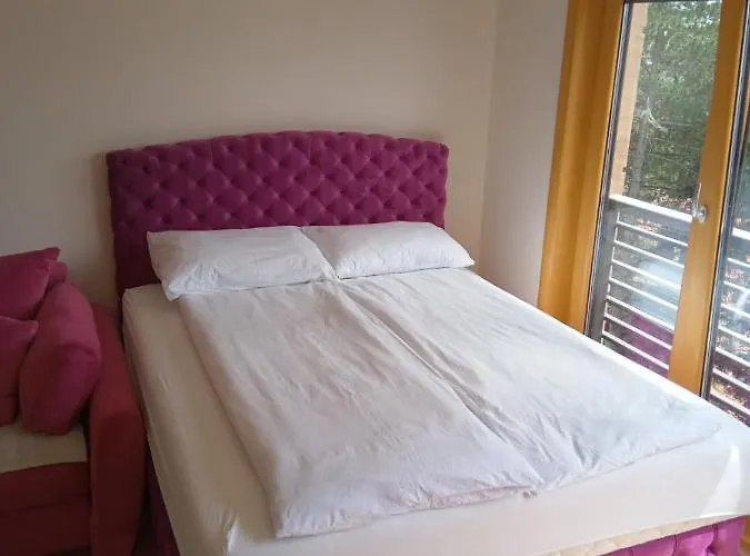 Falcon * 兹拉蒂博尔