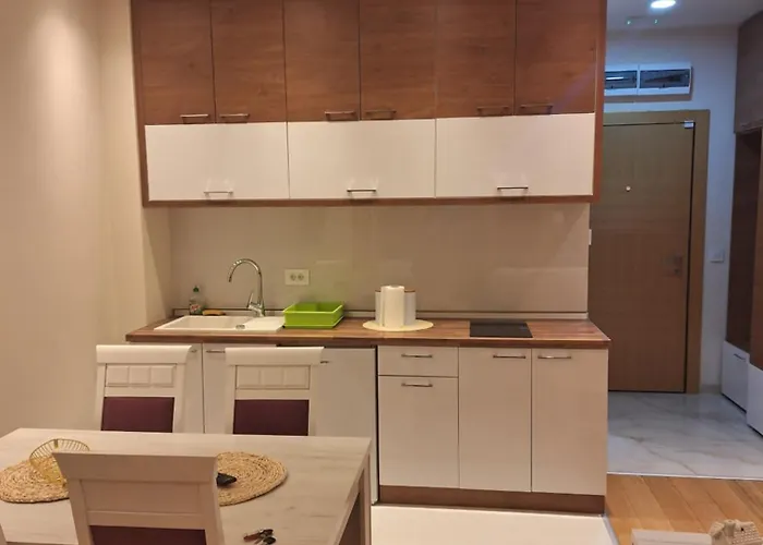 Falcon 公寓 兹拉蒂博尔