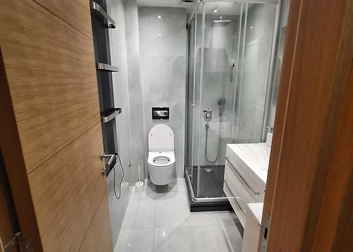 Falcon 兹拉蒂博尔