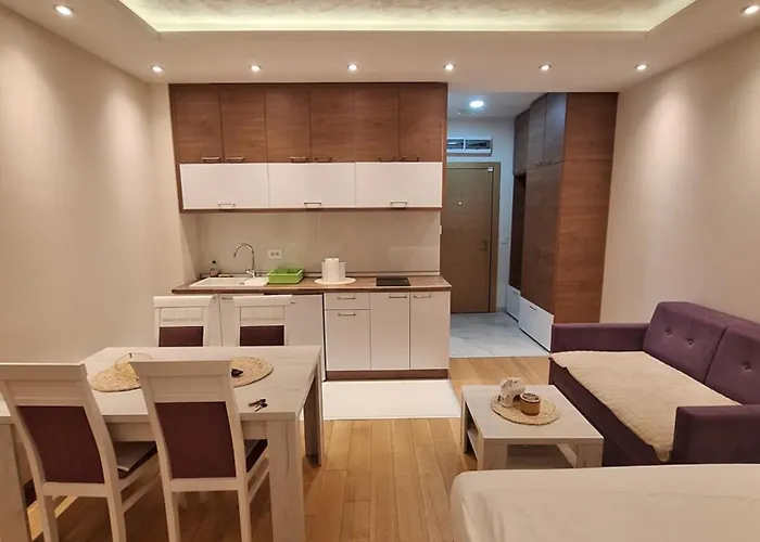 Falcon * 兹拉蒂博尔